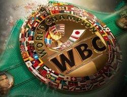 
<p>			WBC объявил аргентинский «Турнир восьмерых» в среднем весе  </p>
<p>	